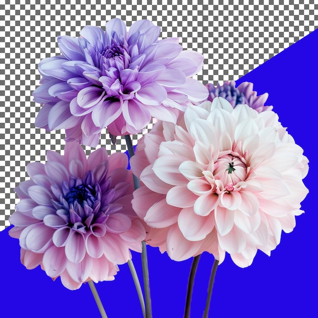 Background removed flower transparent background png and psd image