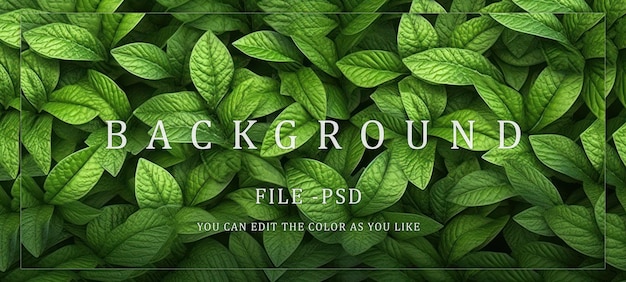 PSD background texture full of green leaves