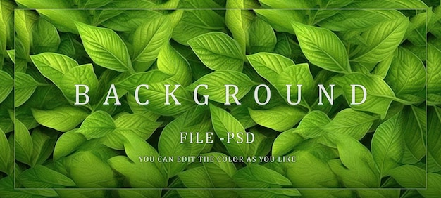 background Texture full of green leaves