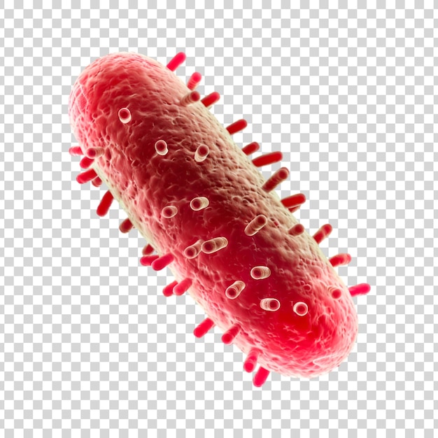 PSD bacteria isolated on a transparent background