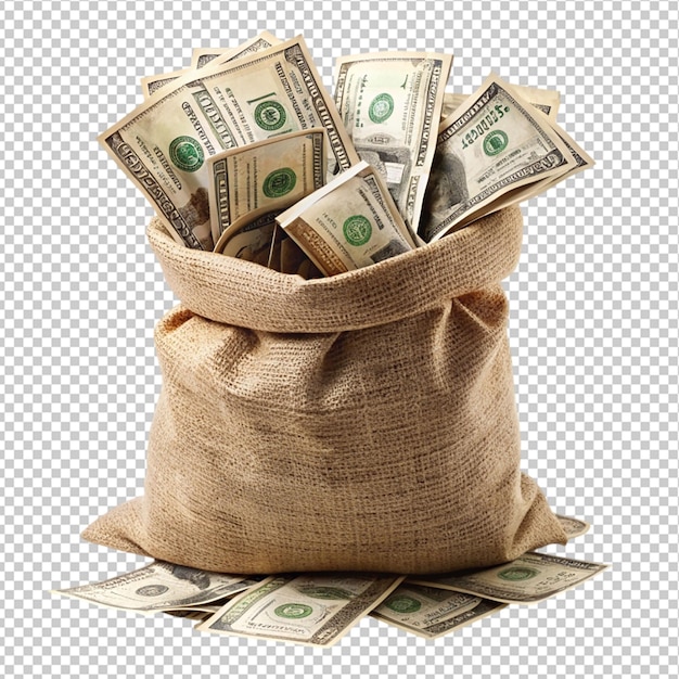 bag dollar money on transparent background