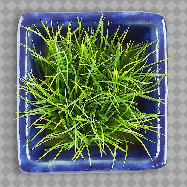 PSD bahiagrass with royal blue and violet colored ceramic plante isolated green texture on clean bg