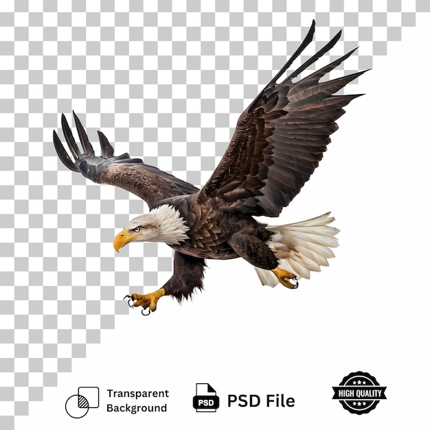 PSD bald eagle flying isolated on transparent background with ultra layer