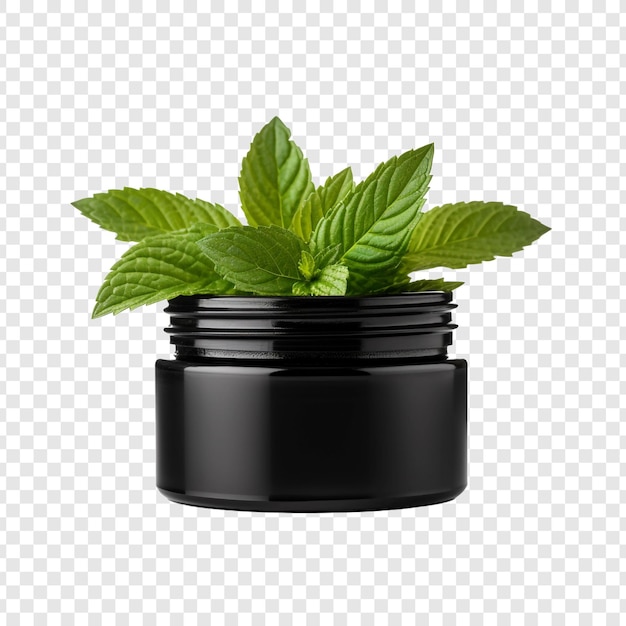 Balsam in black container isolated on transparent background