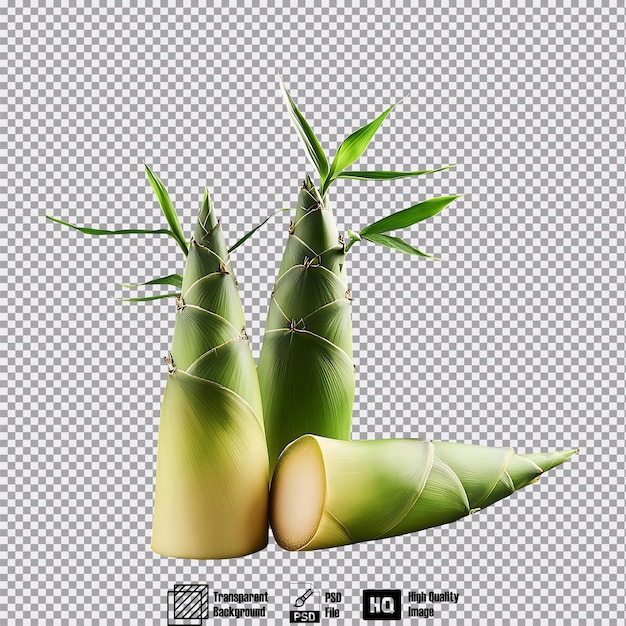 Bamboo Shoots isolated on transparent background