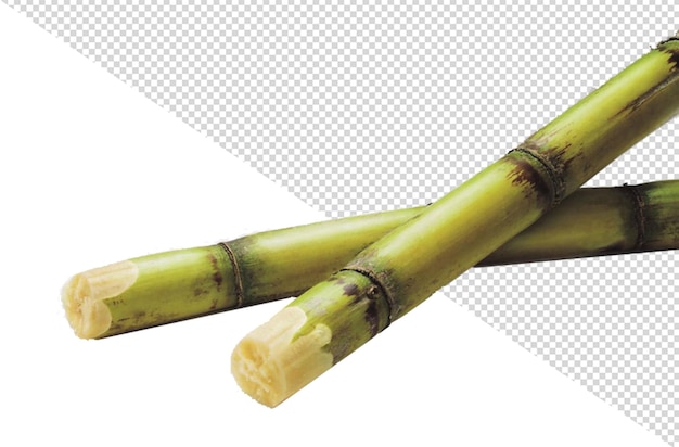 bamboo sticks with a white background with a red and green pattern