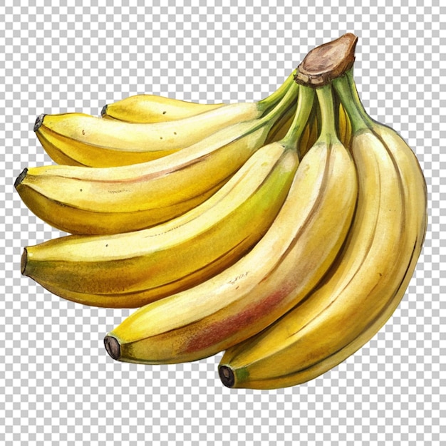 Banana fruit with transparent background