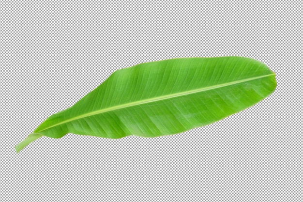 banana leaves