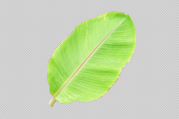 banana leaves