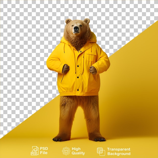 bear character isolated on transparent background