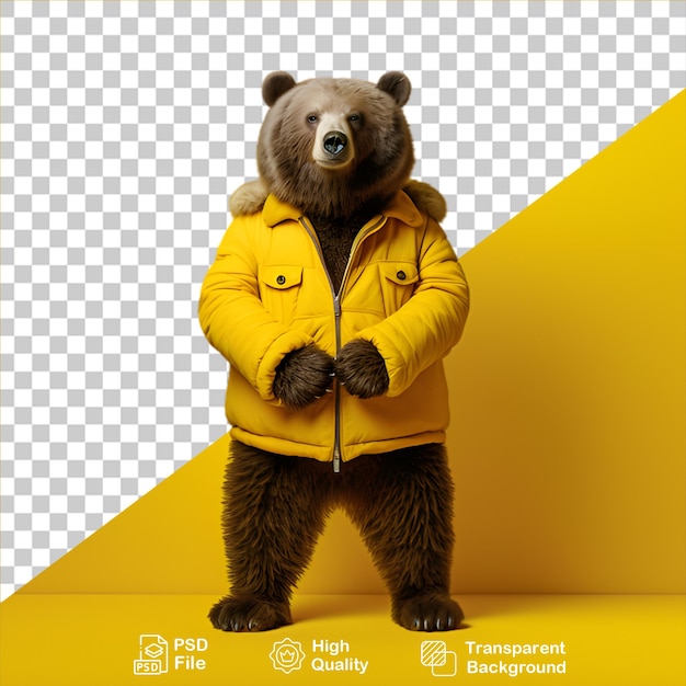 bear character isolated on transparent background