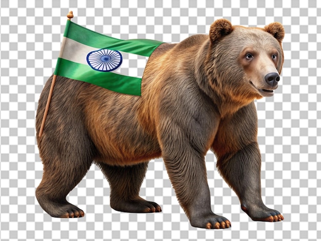 Bear standing on transparent background ai generated