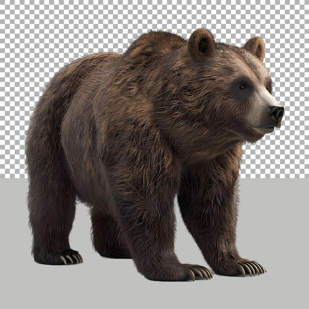 Bear Standing on Transparent background Ai Generated