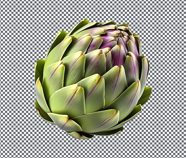 PSD beautiful artichoke isolated on transparent background