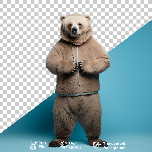 beautiful bear isolated on transparent background include png file