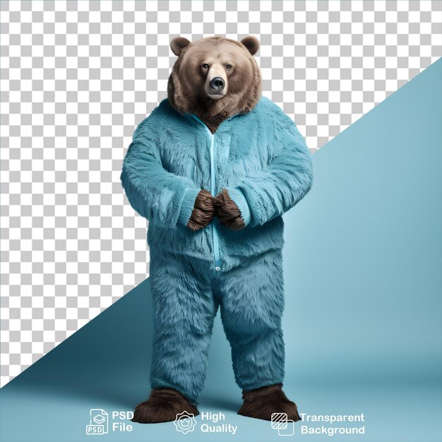 beautiful bear isolated on transparent background include png file