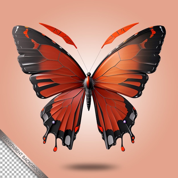 beautiful butterfly transparent background