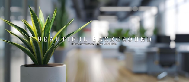 PSD beautiful defocused office background