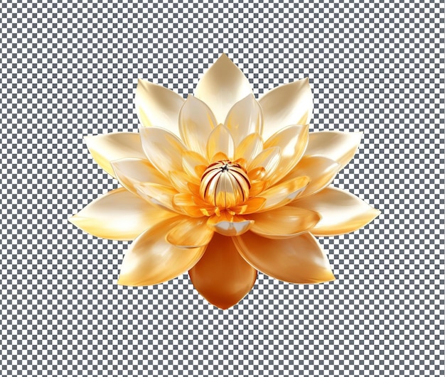 Beautiful Golden Lotus isolated on transparent background