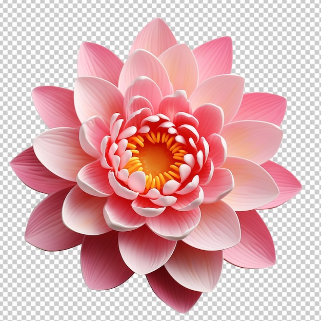 Beautiful pink lotus flower isolated on transparent background