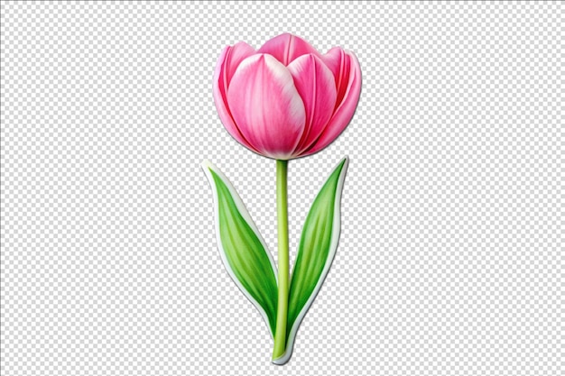 PSD beautiful pink tulip flower sticker for journaling transparent background