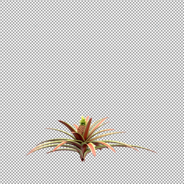 Beautiful plant in 3d rendering isolated