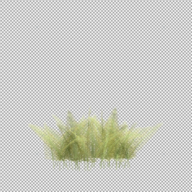 Beautiful plant in 3d rendering isolated