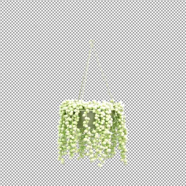 Beautiful plant in 3d rendering isolated