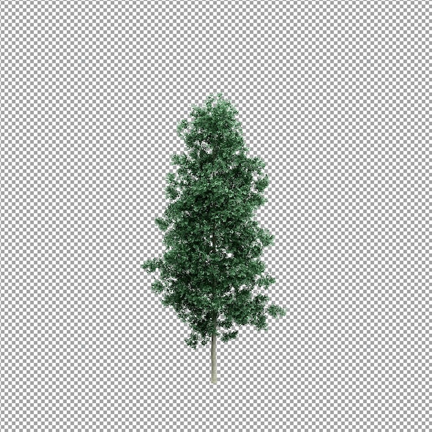 Beautiful plant in 3d rendering isolated