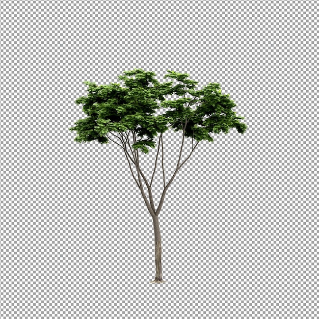 Beautiful plant in 3d rendering isolated