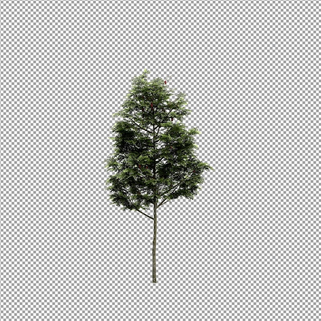 Beautiful plant in 3d rendering isolated