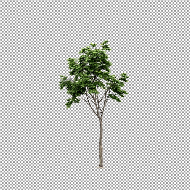 Beautiful plant in 3d rendering isolated