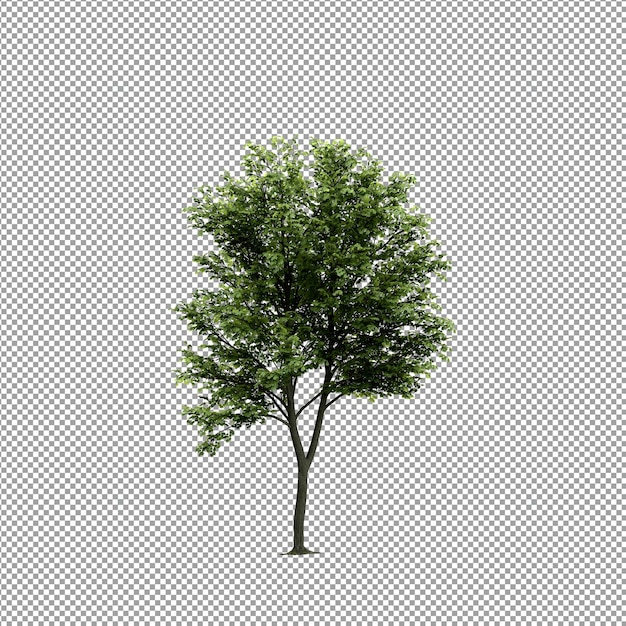 Beautiful plant in 3d rendering isolated