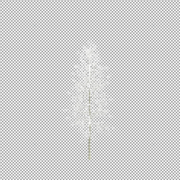 Beautiful plant in 3d rendering isolated