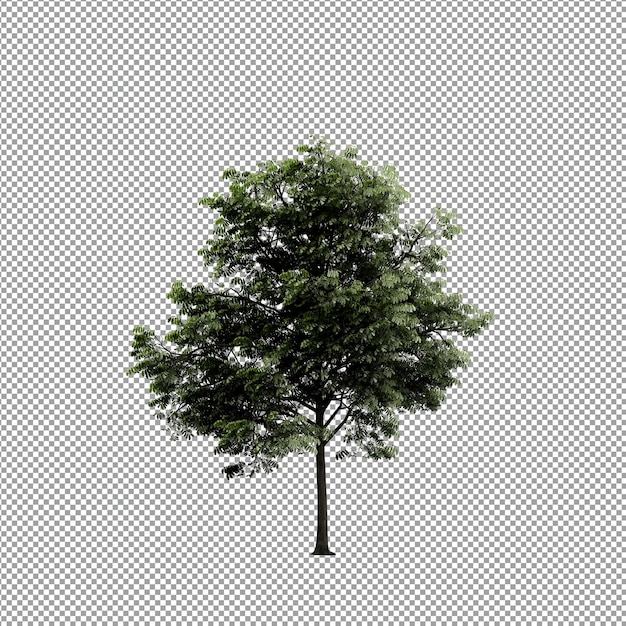 Beautiful plant in 3d rendering isolated