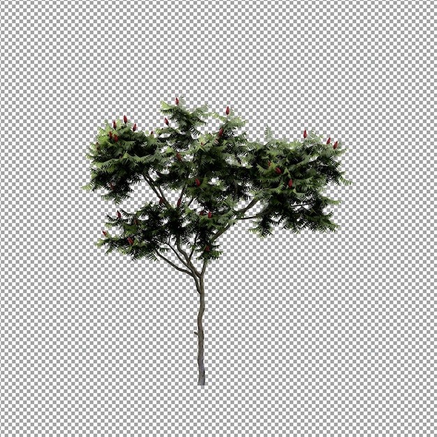 Beautiful plant in 3d rendering isolated