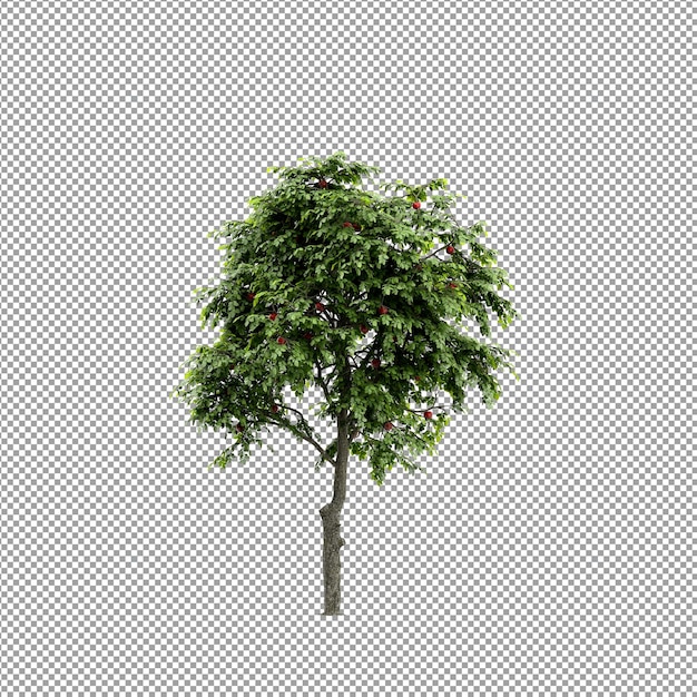 Beautiful plant in 3d rendering isolated