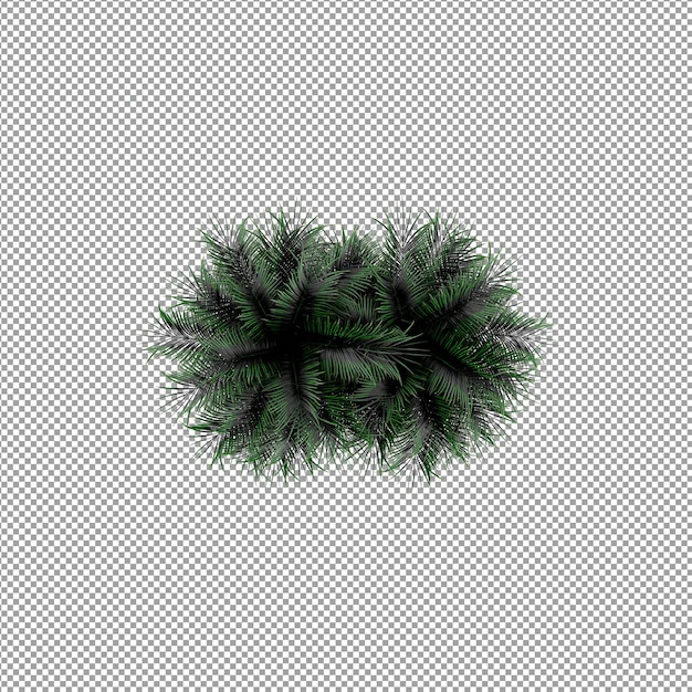 Beautiful plant in 3d rendering isolated