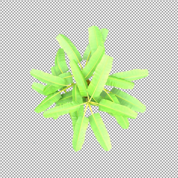 Beautiful plant in 3d rendering isolated