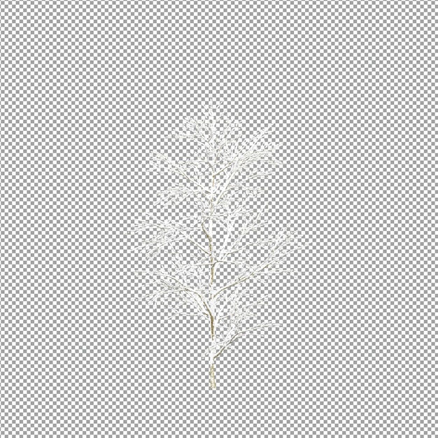 Beautiful plant in 3d rendering isolated