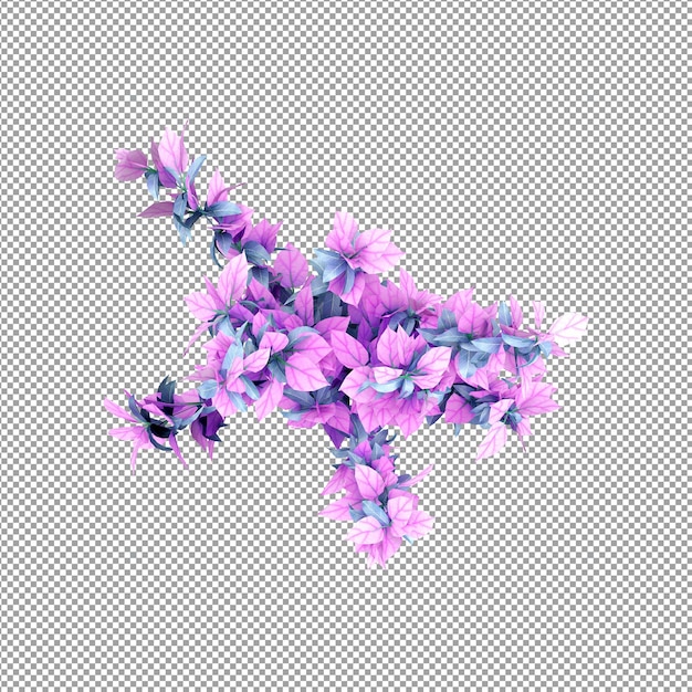 Beautiful plant in 3d rendering isolated