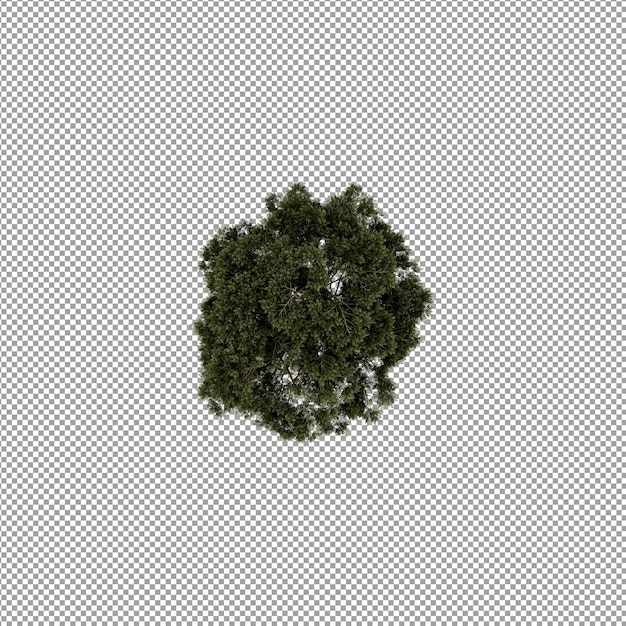 Beautiful plant in 3d rendering isolated