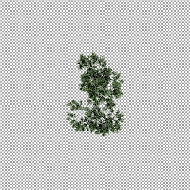 Beautiful plant in 3d rendering isolated