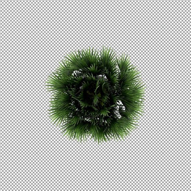 Beautiful plant in 3d rendering isolated