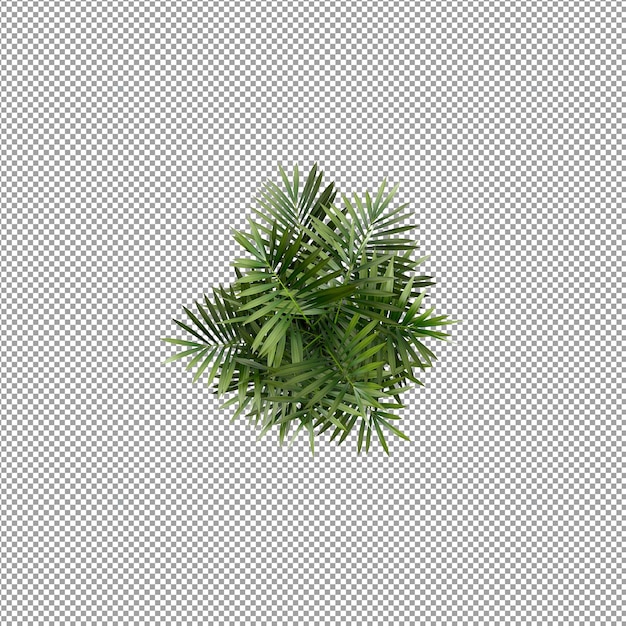 Beautiful plant in 3d rendering isolated