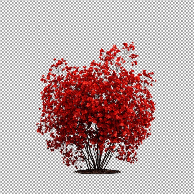 Beautiful plant in 3d rendering isolated