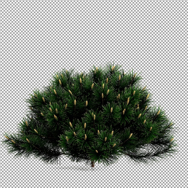 Beautiful plant in 3d rendering isolated