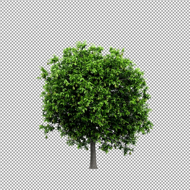 Beautiful plant in 3d rendering isolated