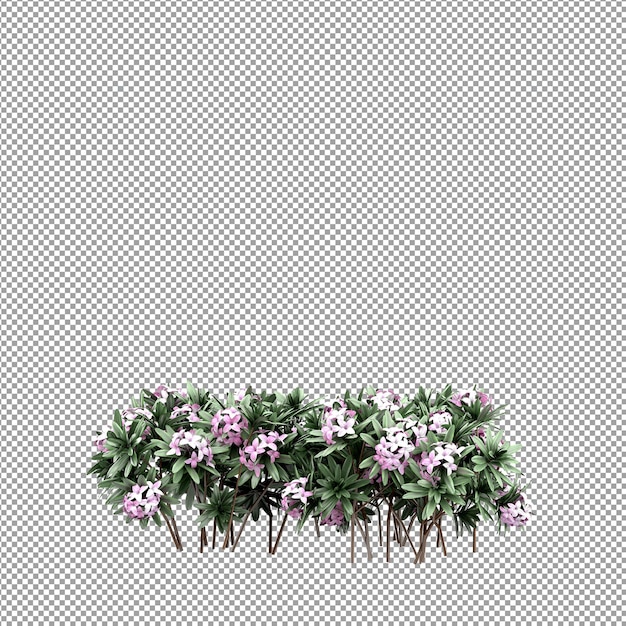 Beautiful plant in 3d rendering isolated