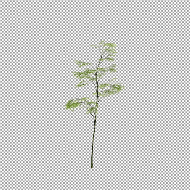 Beautiful plant in 3d rendering isolated